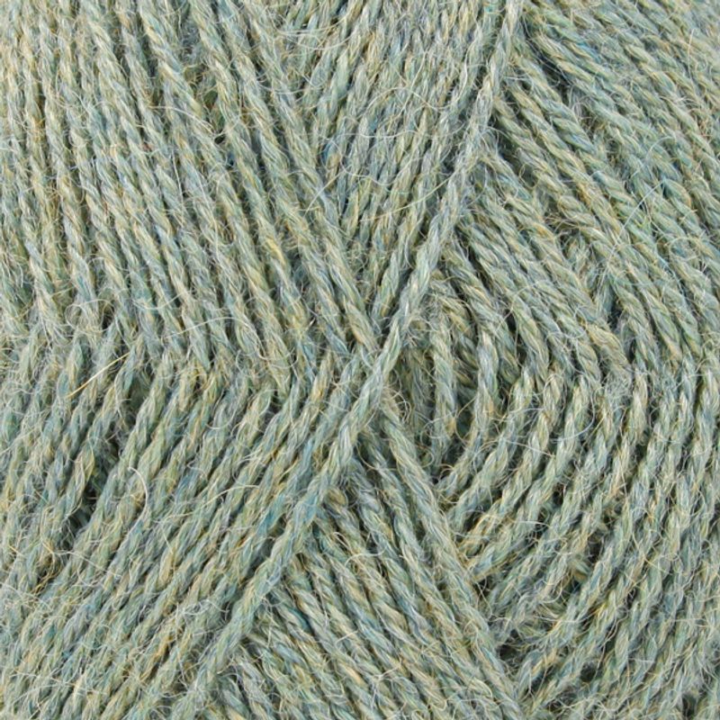 Alpaca